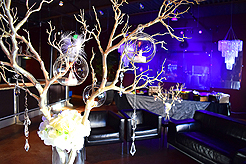 BIRTHDAY...CAUSE IT IS